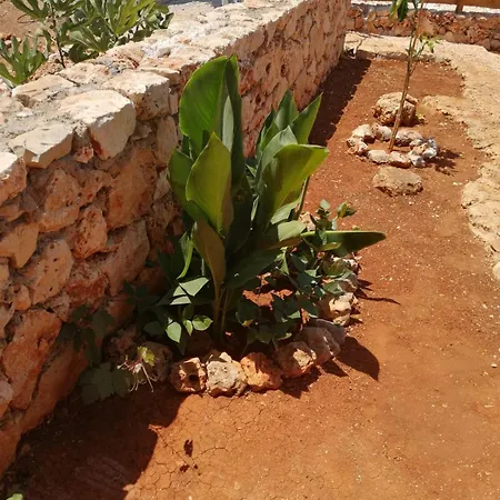 דירה Galaba Ezel קס
